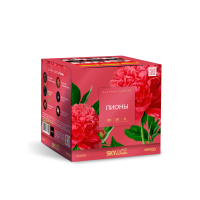 Пионы Салют купить в Рязани | ryazan.salutsklad.ru