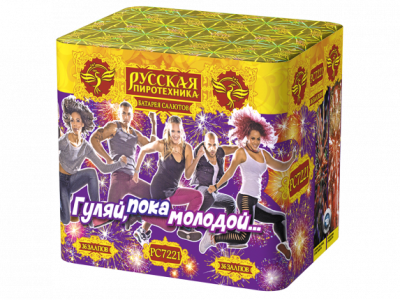 Гуляй, пока молодой Салют купить в Рязани | ryazan.salutsklad.ru