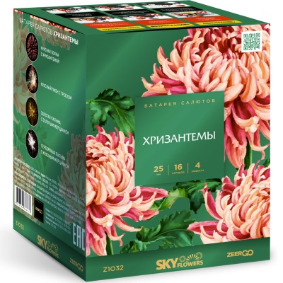 Хризантемы Фейерверк купить в Рязани | ryazan.salutsklad.ru